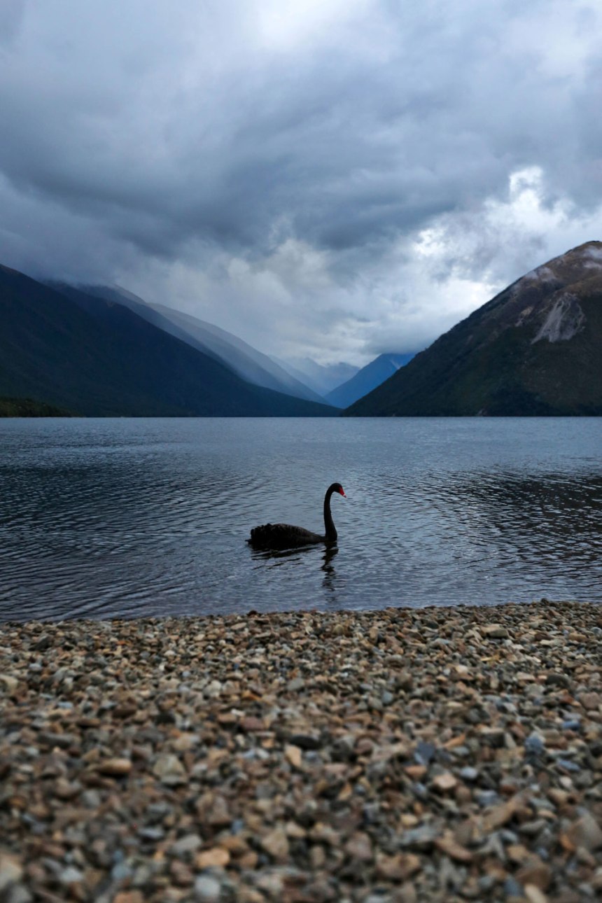 North Island, New Zealand / for the love of nike