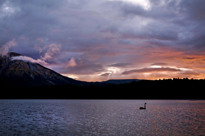 North Island, New Zealand / for the love of nike