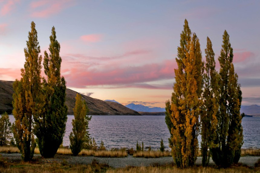 Lord of the Rings things in New Zealand / for the love of nike