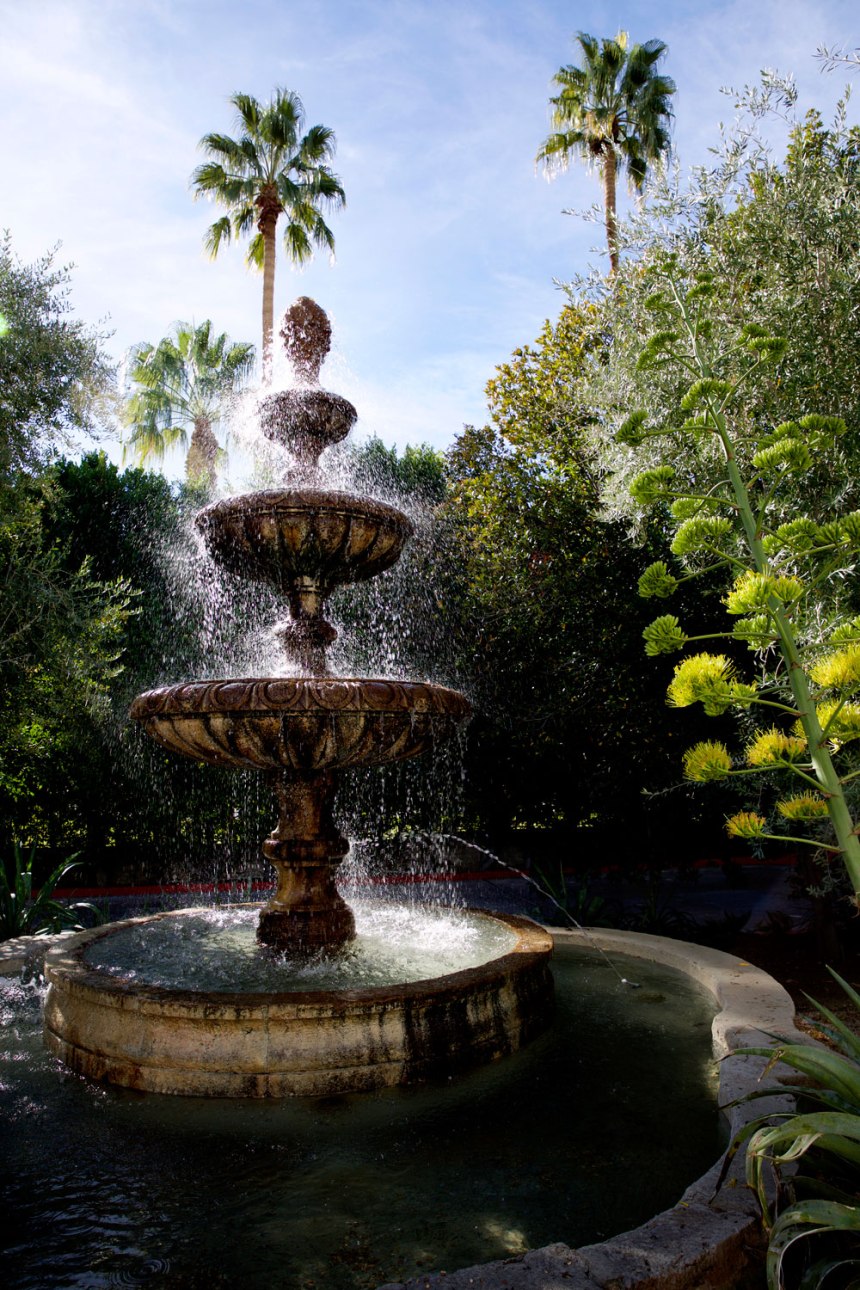 A Weekend in Palm Springs / for the love of nike