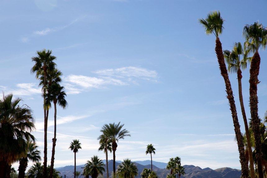 A Weekend in Palm Springs / for the love of nike