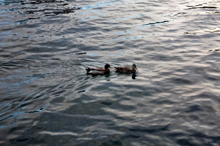 Queenstown, New Zealand / for the love of nike