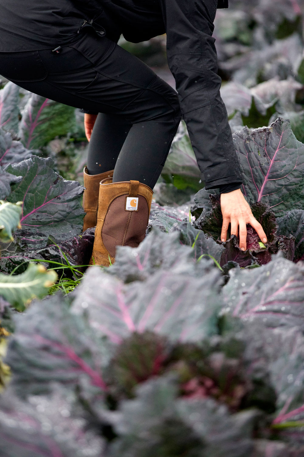 2+ Weeks in California / for the love of nike