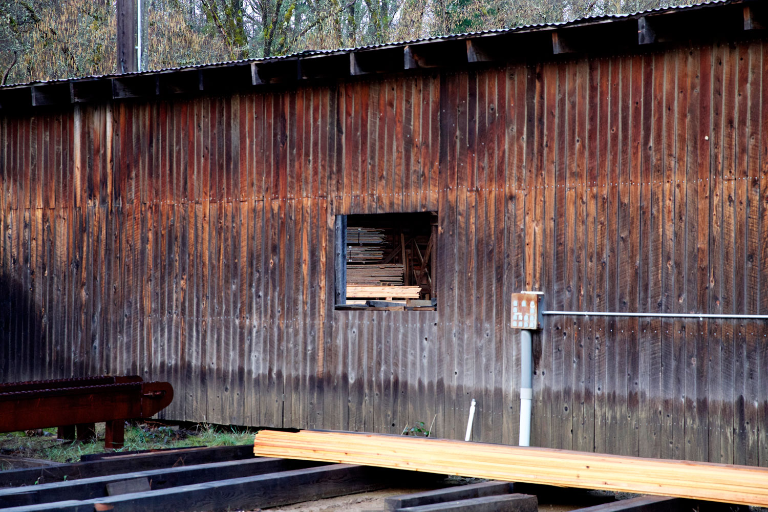 2+ Weeks in California / for the love of nike