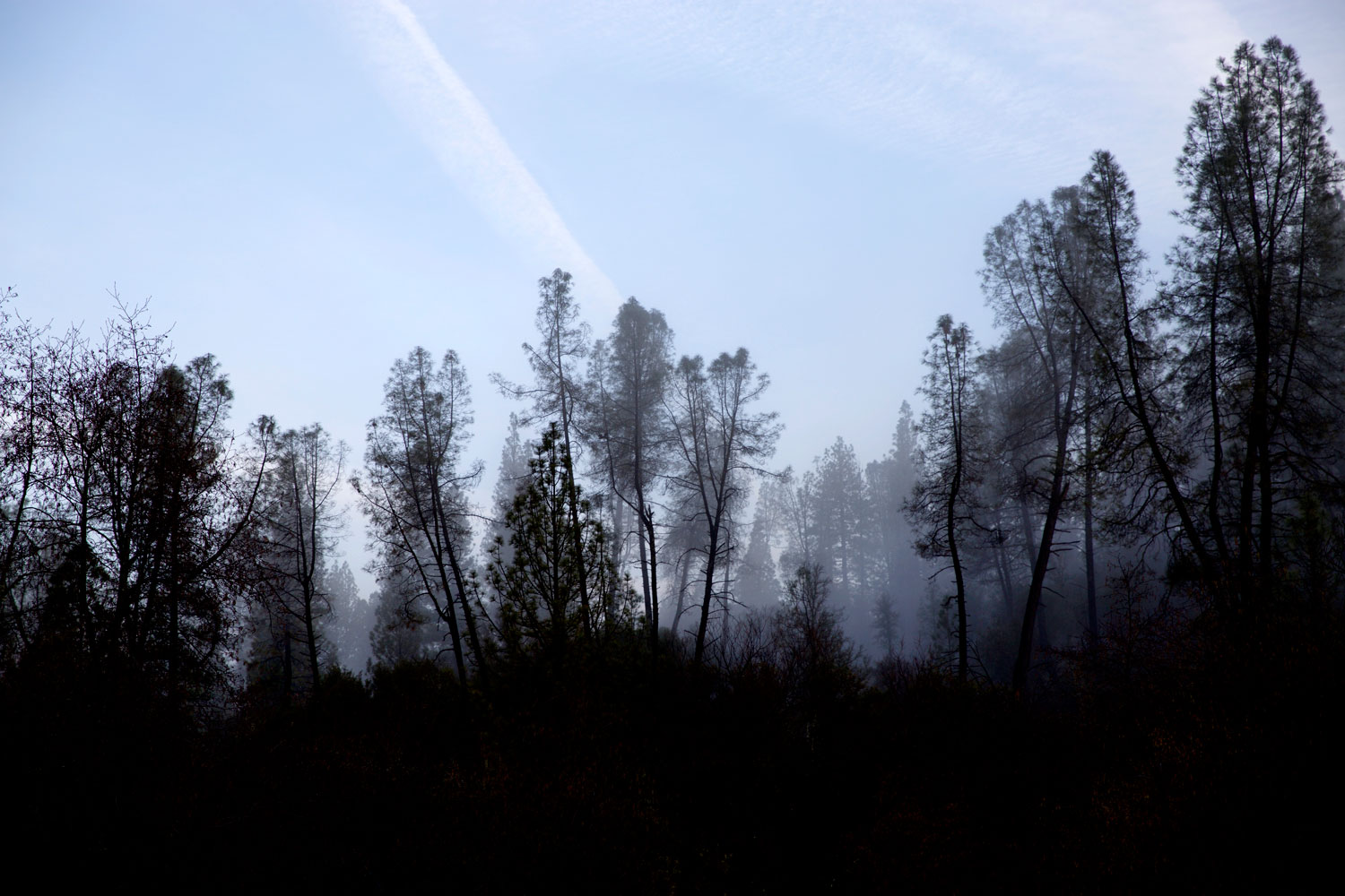 2+ Weeks in California / for the love of nike