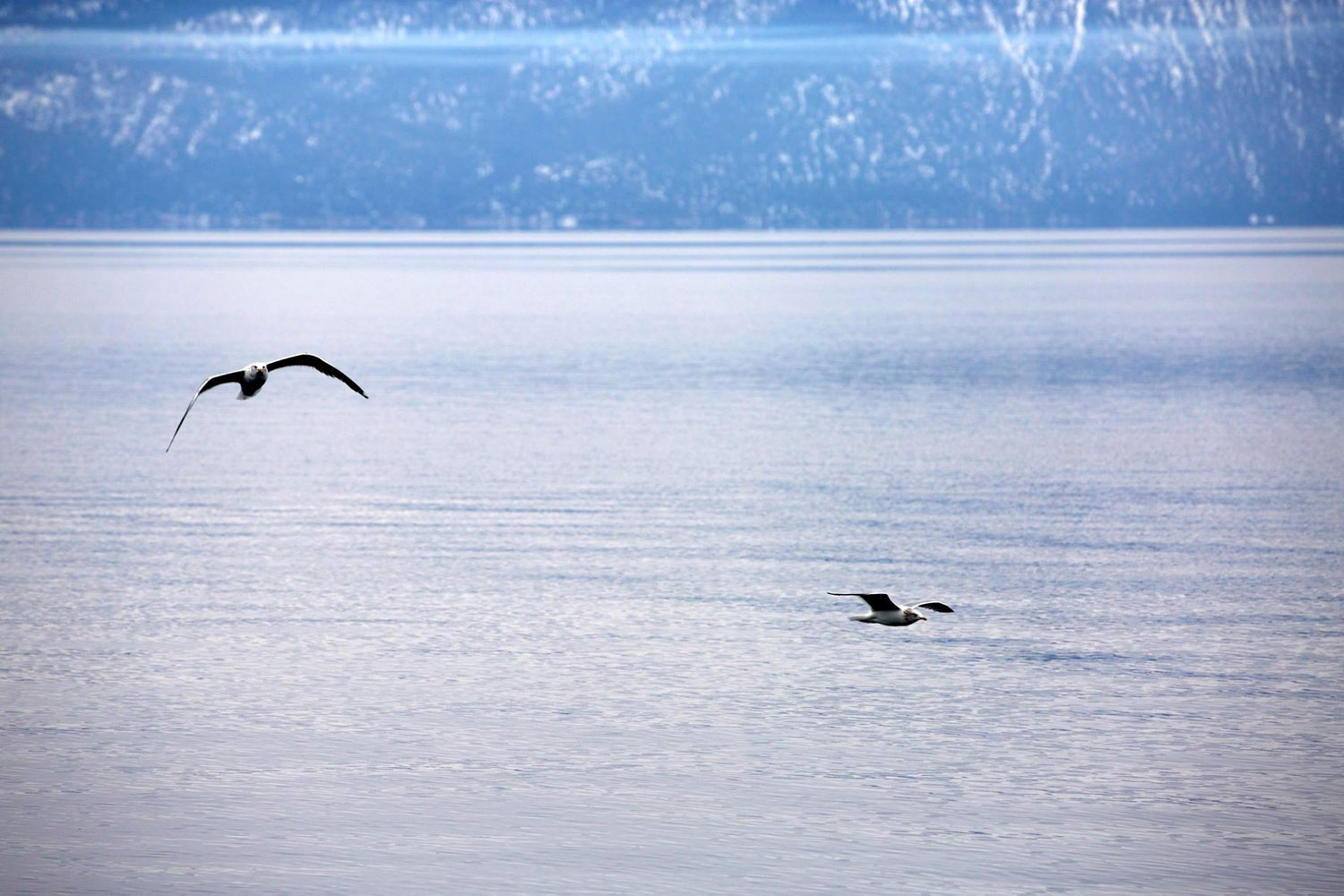 2+ Weeks in California / for the love of nike