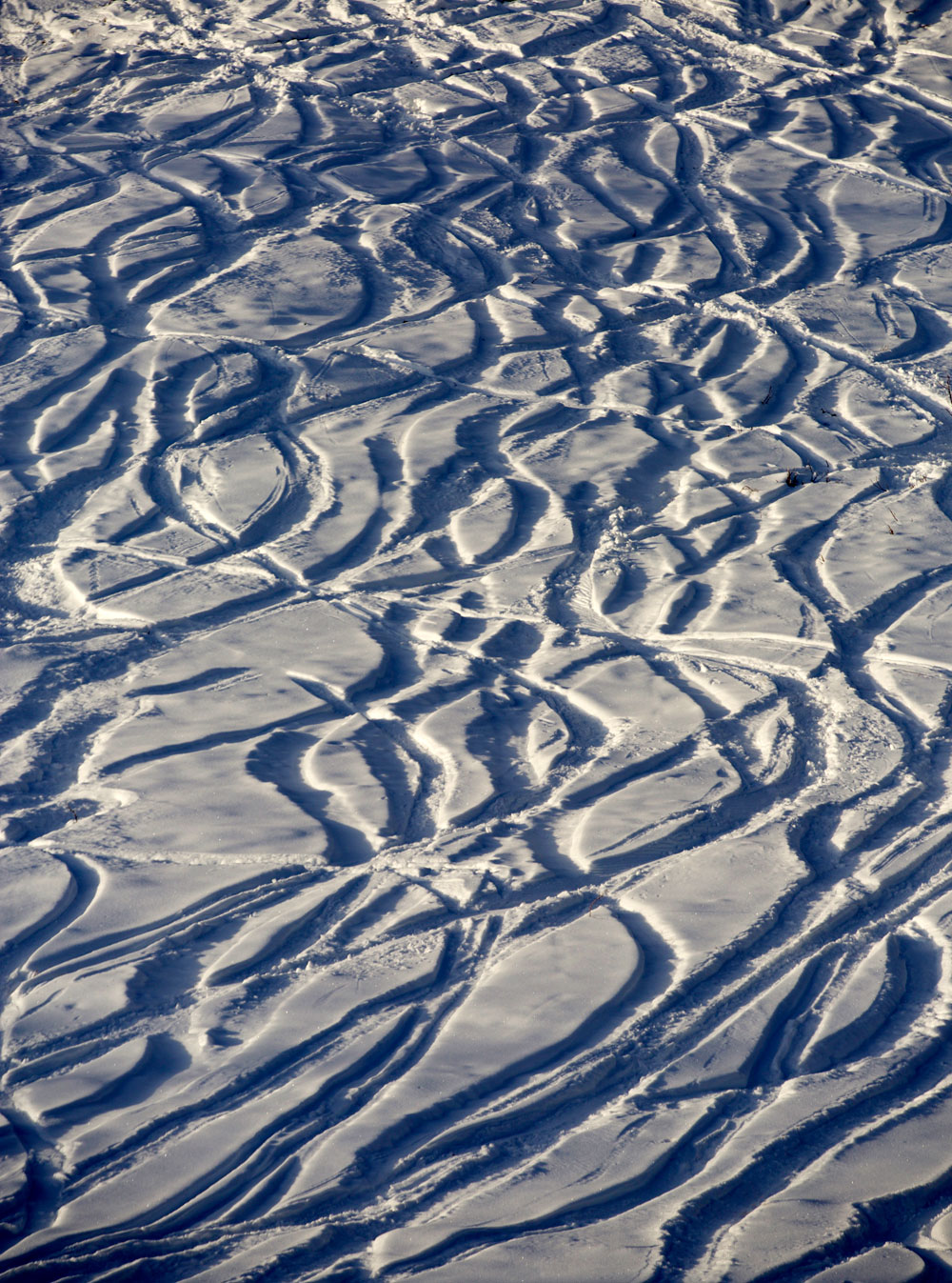 2+ Weeks in California / for the love of nike