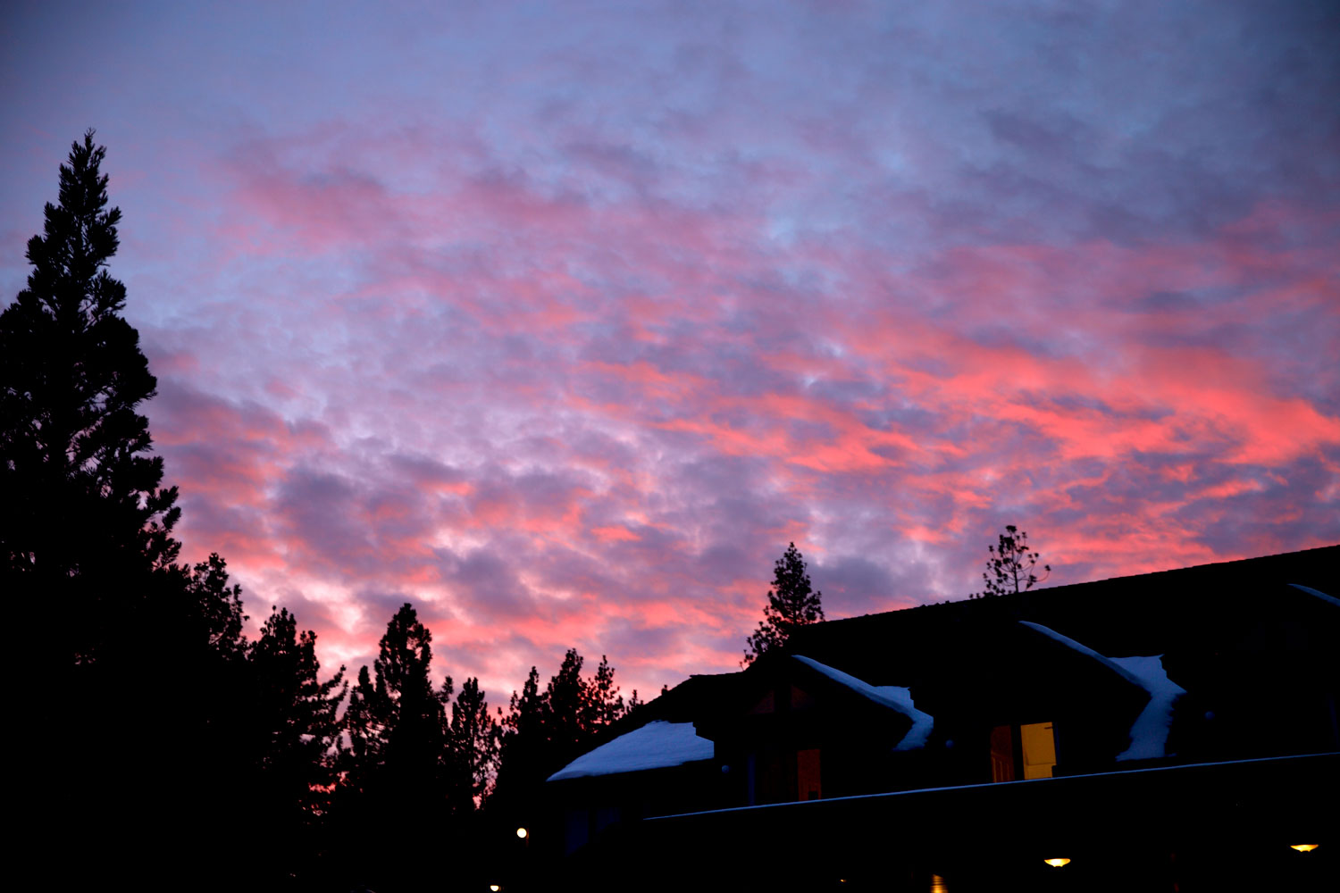 2+ Weeks in California / for the love of nike