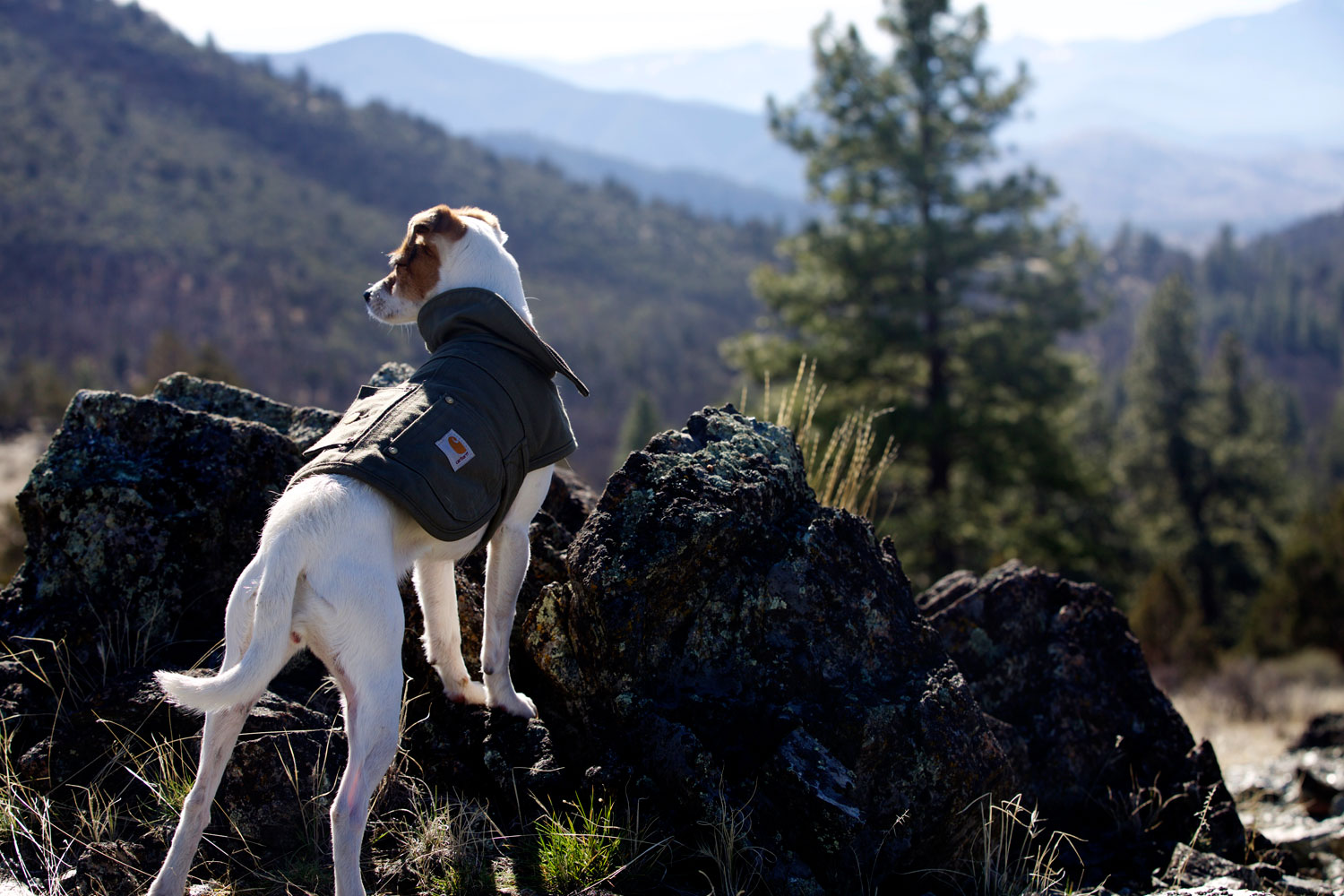 2+ Weeks in California / for the love of nike