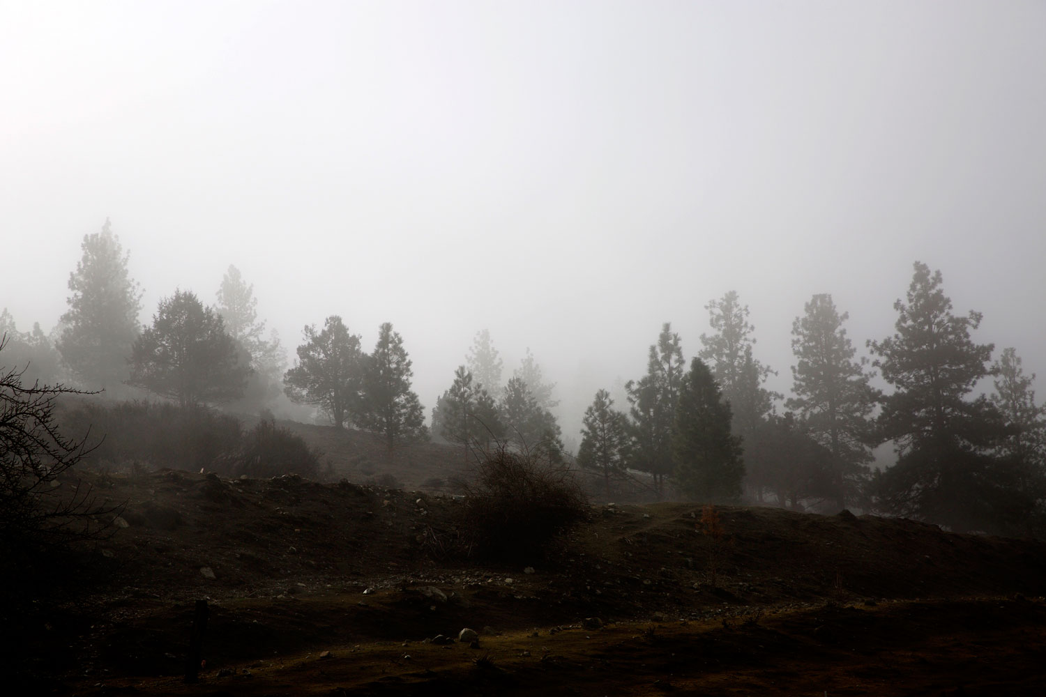 2+ Weeks in California / for the love of nike