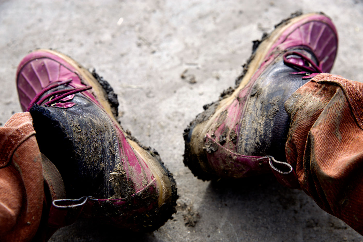 2+ Weeks in California / for the love of nike