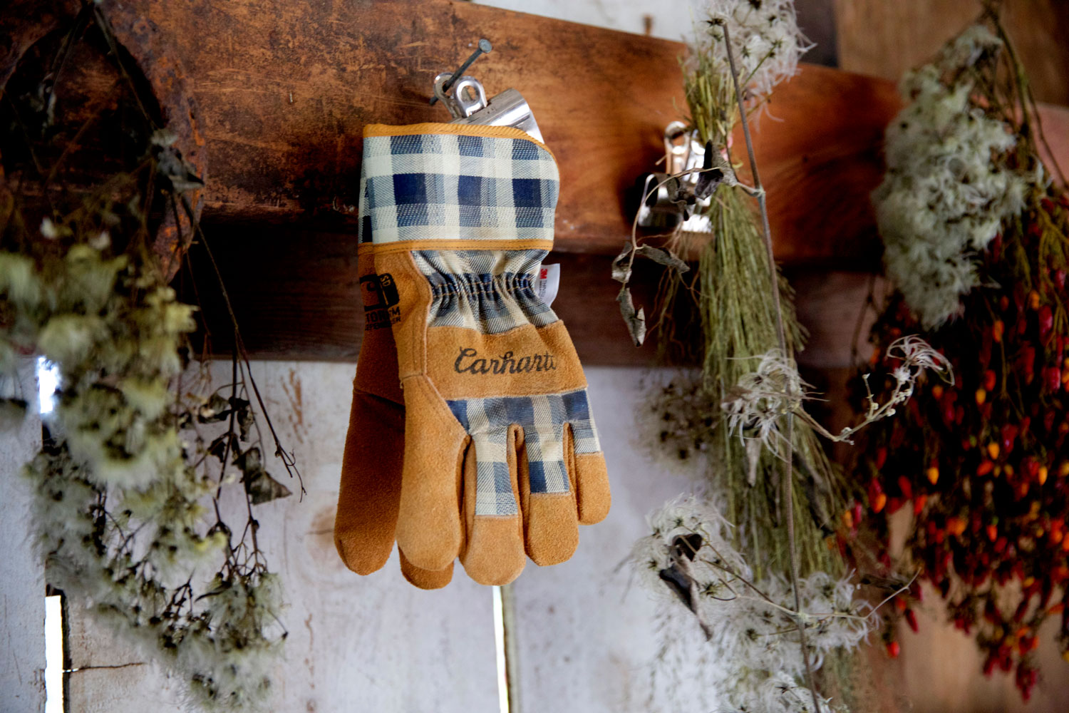 2+ Weeks in California / for the love of nike