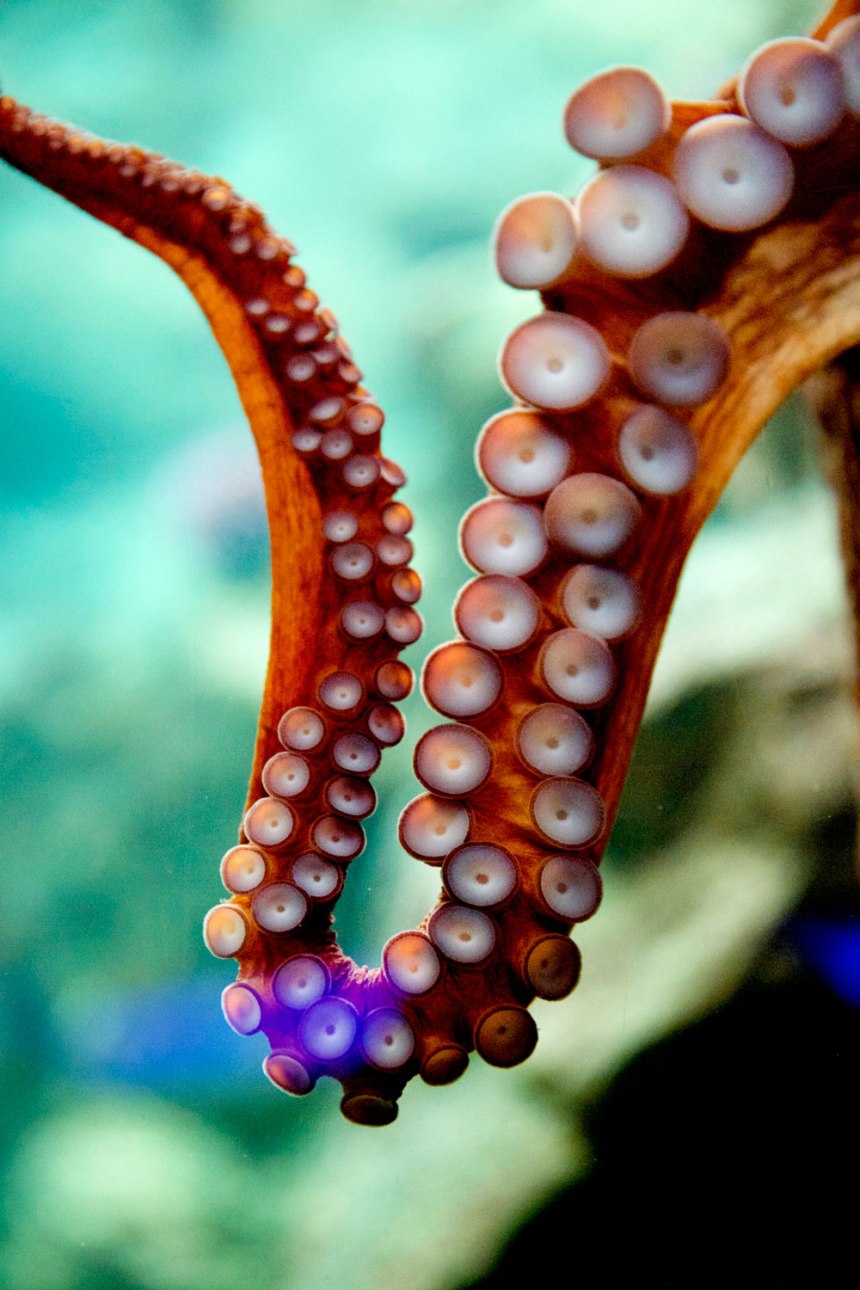 Jenny's back in Chi! / for the love of nike