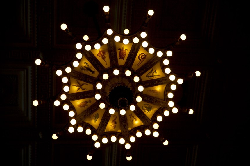 Jenny's back in Chi! / for the love of nike