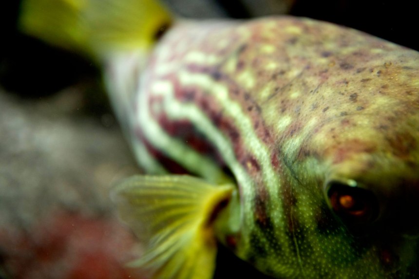 Jenny's back in Chi! / for the love of nike