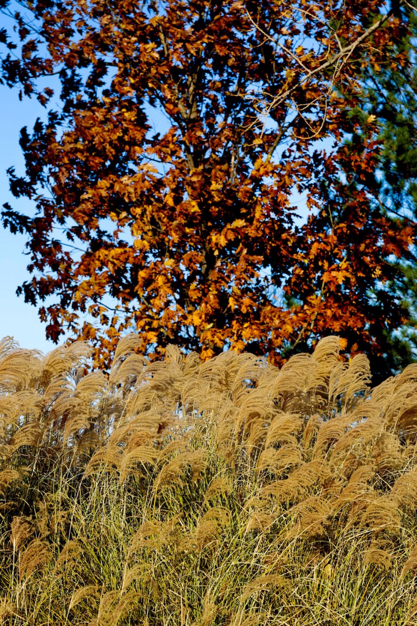 Exploring Omaha, Nebraska / for the love of nike