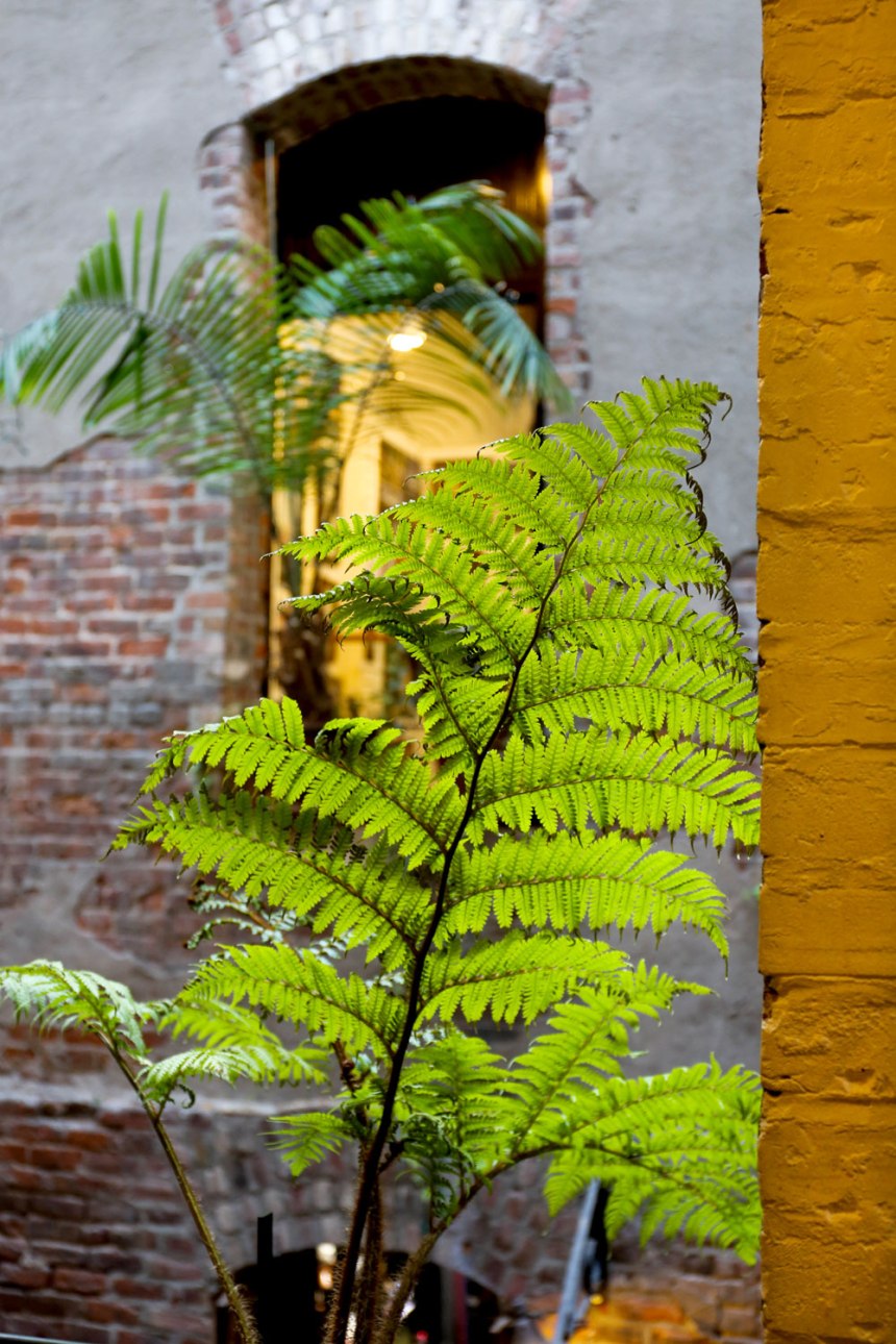 Exploring Omaha, Nebraska / for the love of nike