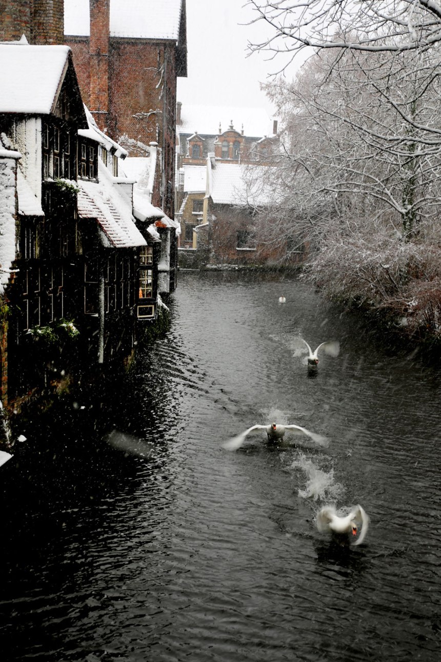 Christmas in Brugge, Belgium / for the love of nike