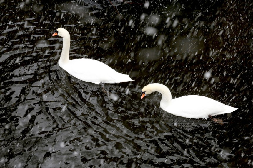 Christmas in Brugge, Belgium / for the love of nike