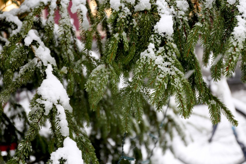 Christmas in Brugge, Belgium / for the love of nike