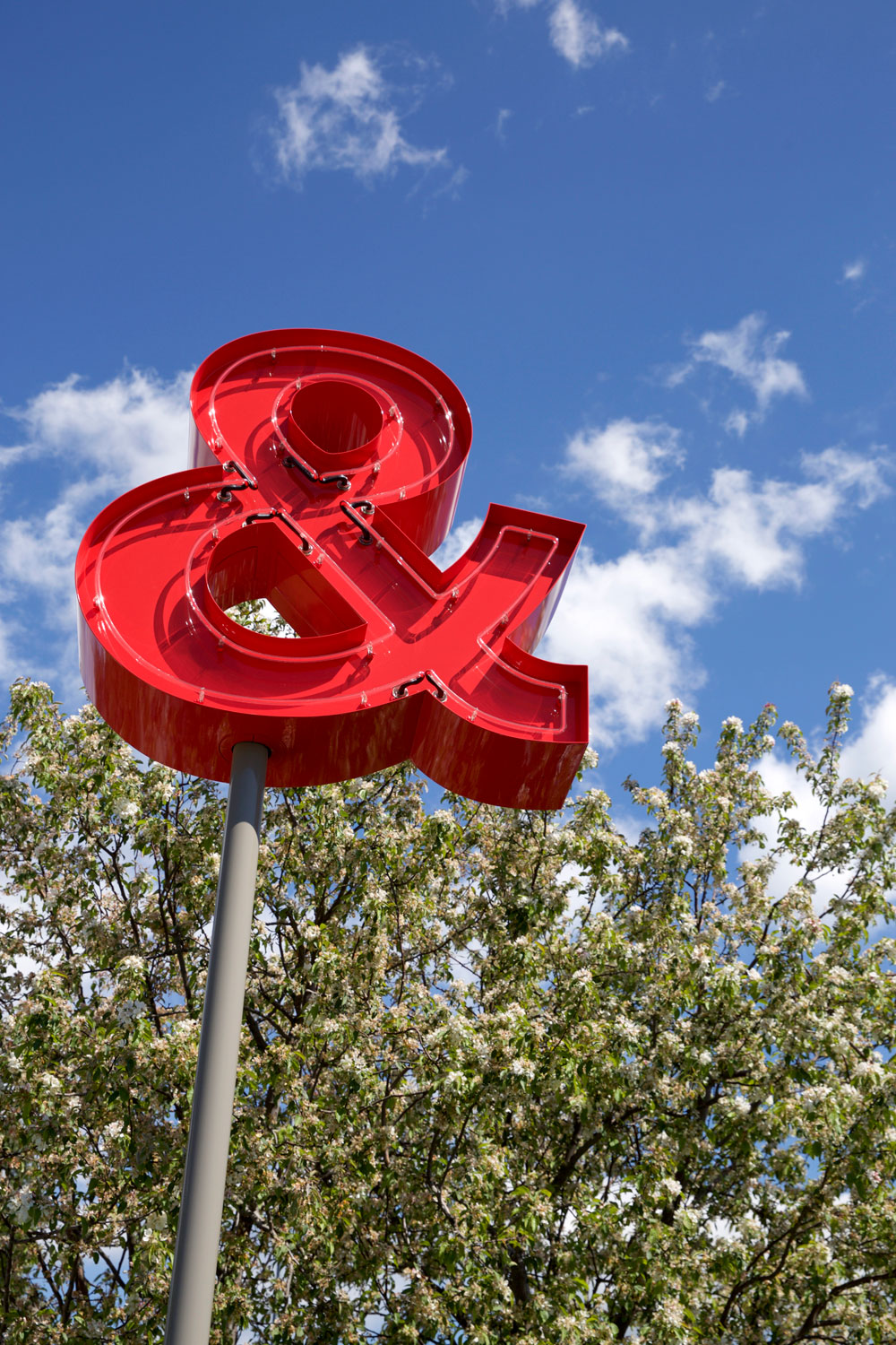 for the love of nike in Seattle