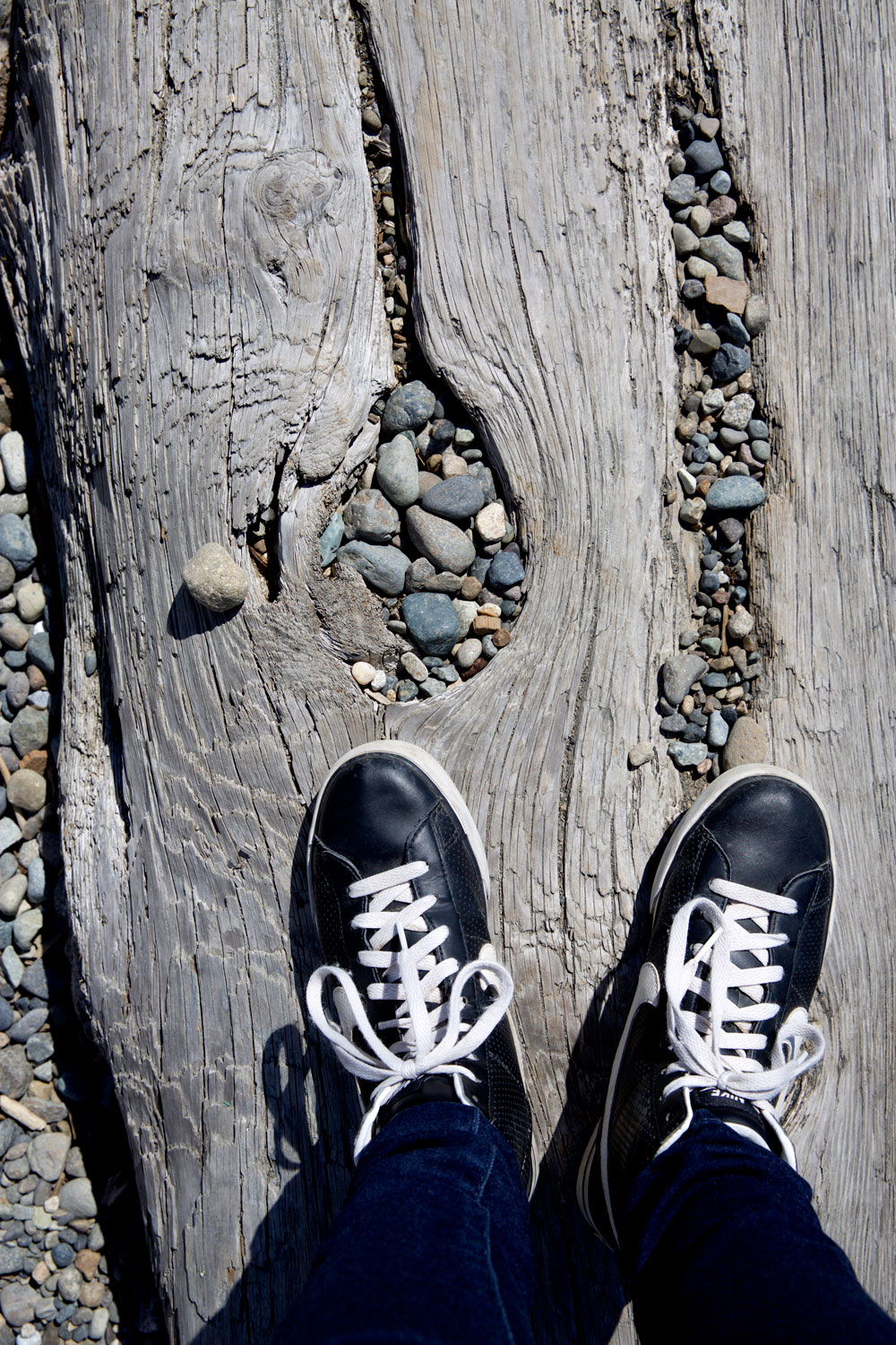 for the love of nike in Seattle