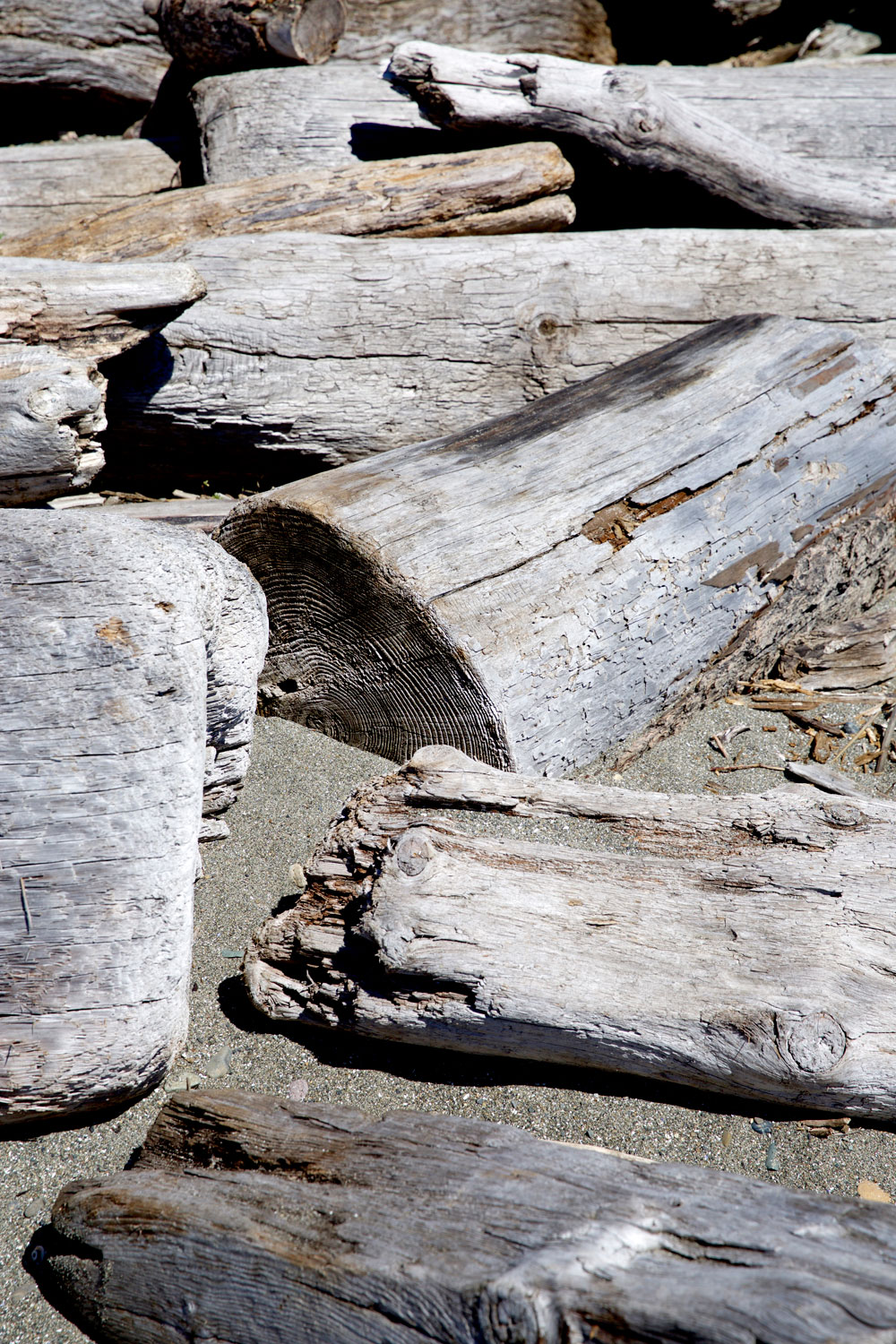 for the love of nike in Seattle