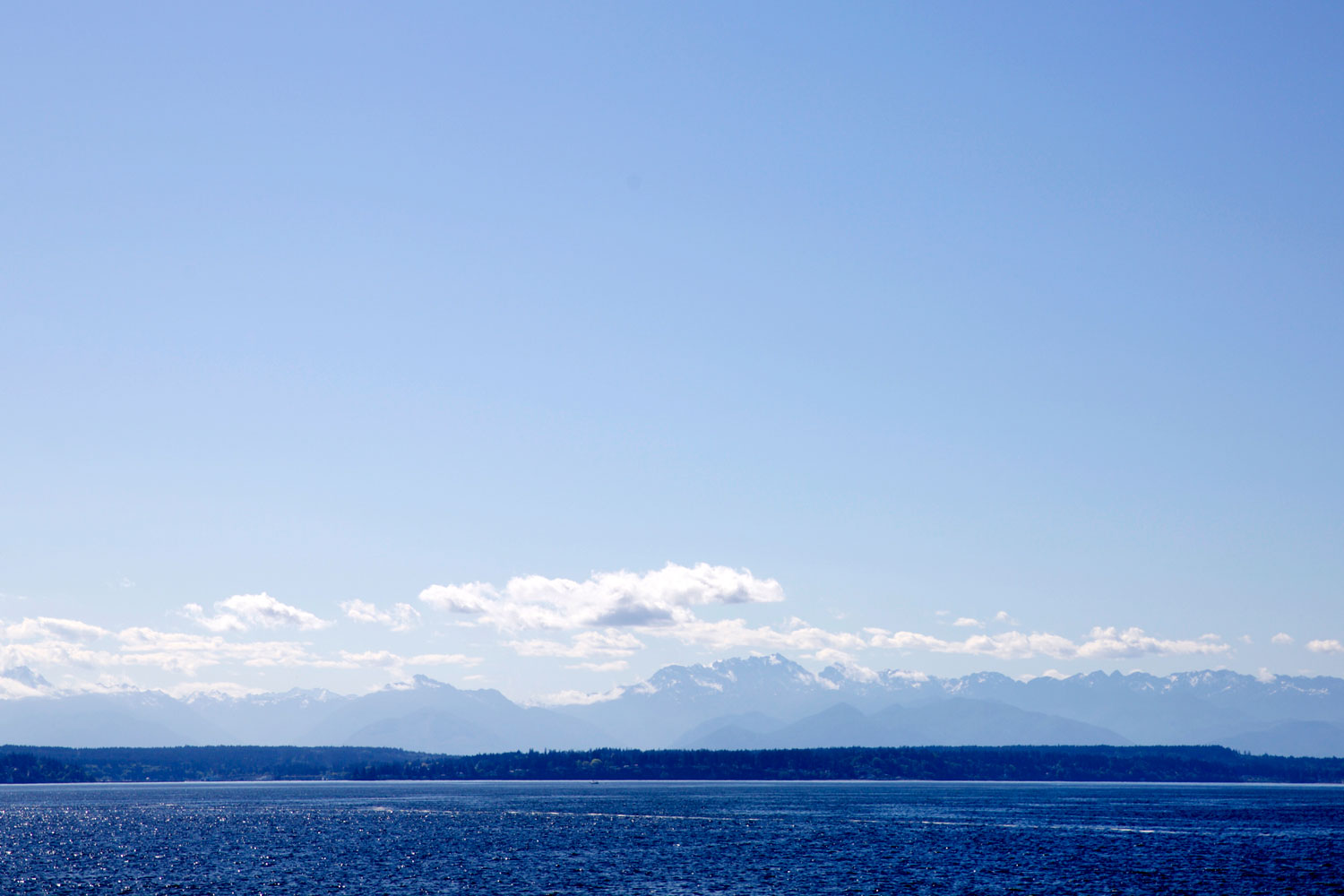 for the love of nike in Seattle