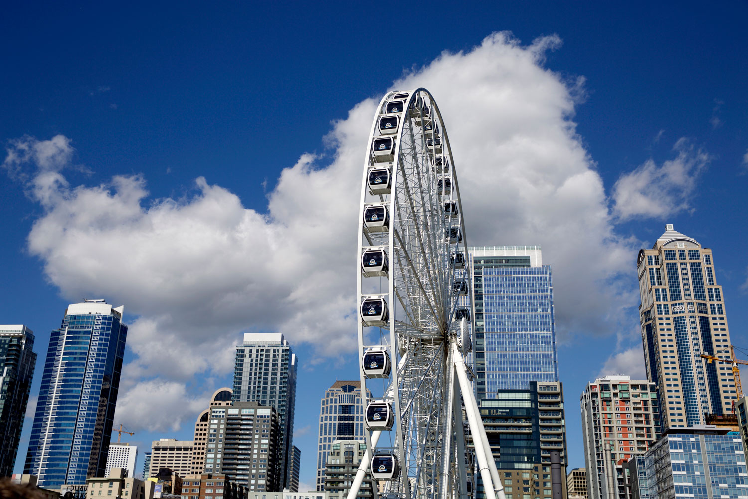 for the love of nike in Seattle