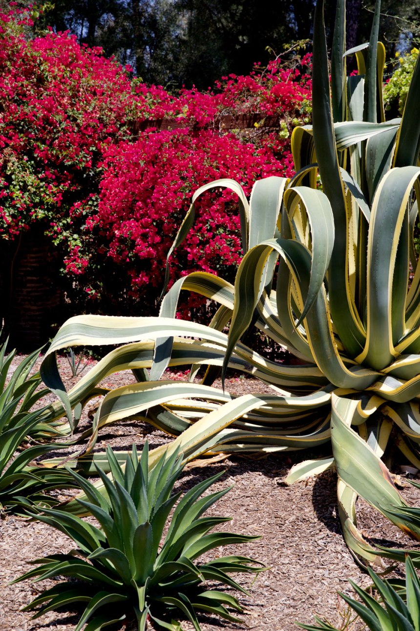 Mission San Juan Capistrano / for the love of nike