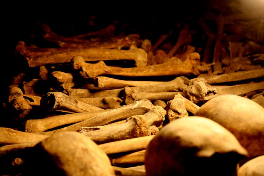 The Catacombs of Paris / for the love of nike