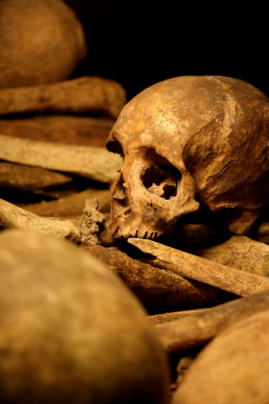 The Catacombs of Paris / for the love of nike