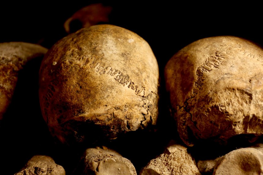 The Catacombs of Paris / for the love of nike