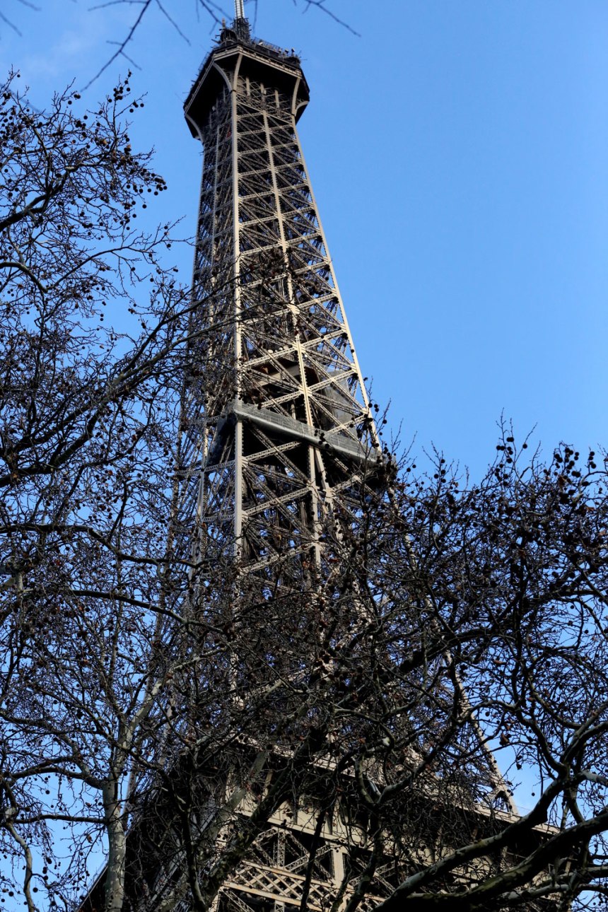 The Eiffel Tower / for the love of nike