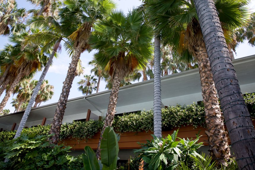 Hollywood / for the love of nike