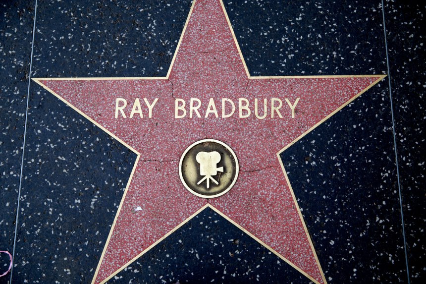 Hollywood / for the love of nike