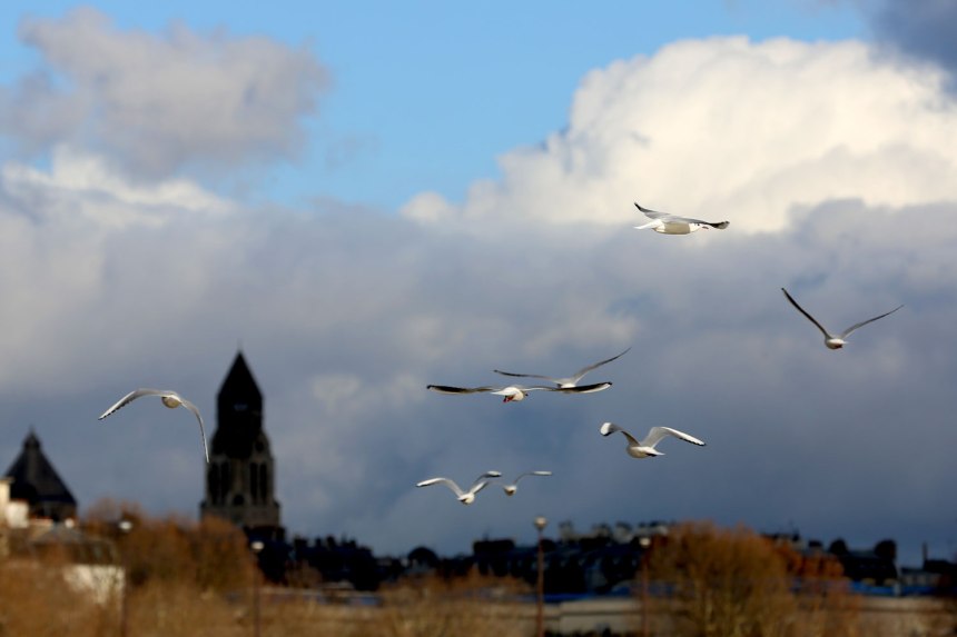 Paris by day / for the love of nike