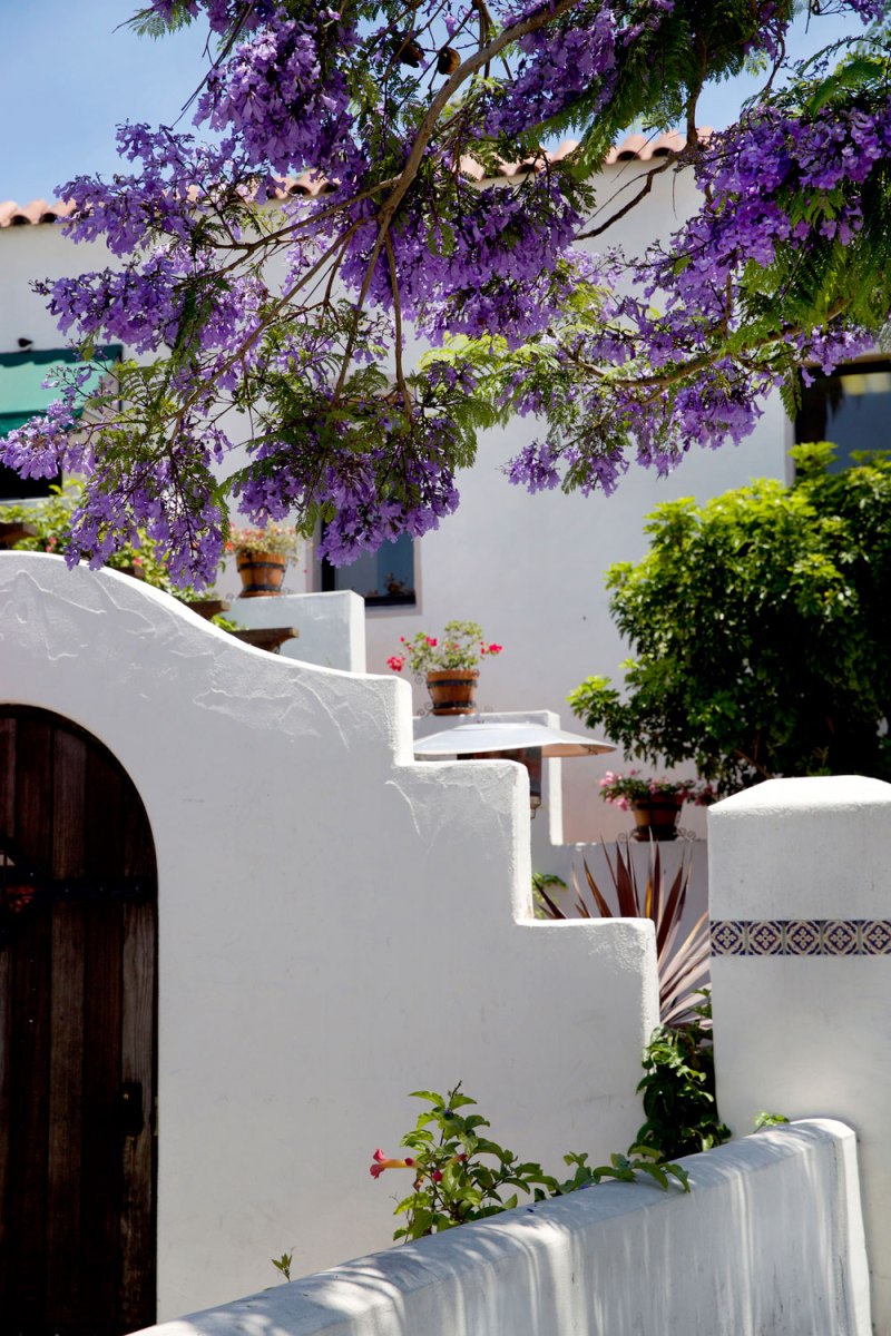 Santa Barbara / for the love of nike