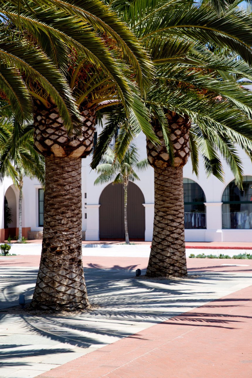 Santa Barbara / for the love of nike