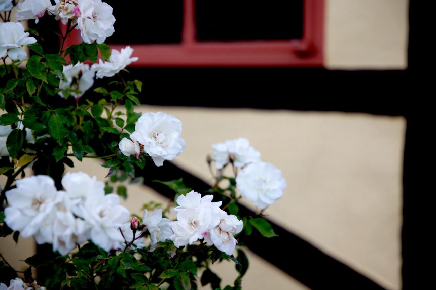 Solvang, California / for the love of nike