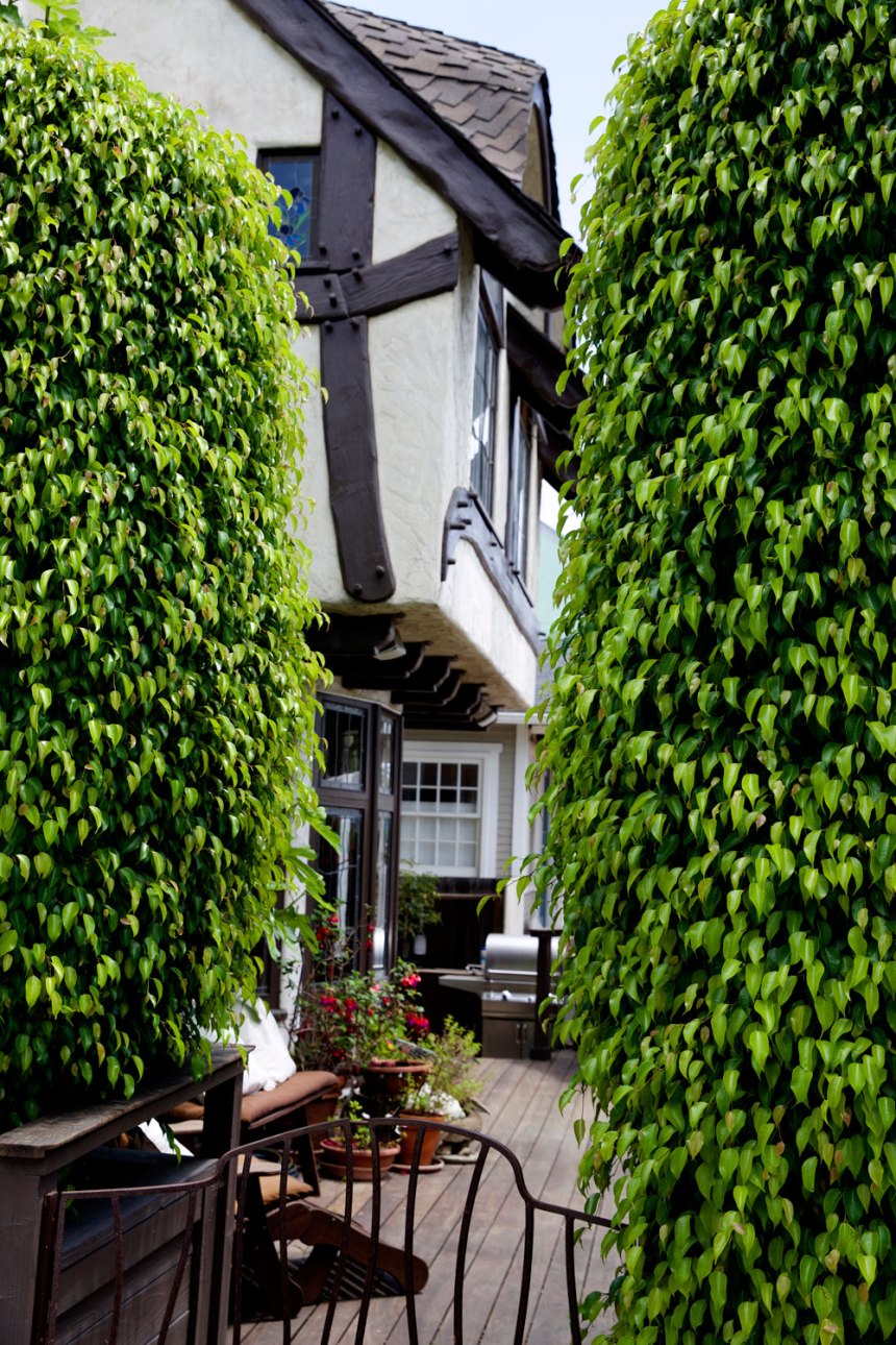 Venice, California / for the love of nike