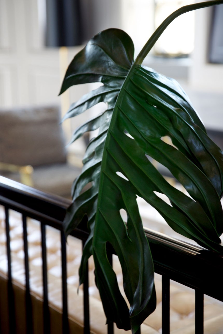 Happy Birthday to Me!!! for the love of nike