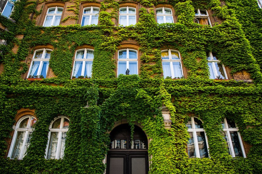 Art is Alive and Weird in Berlin / for the love of nike