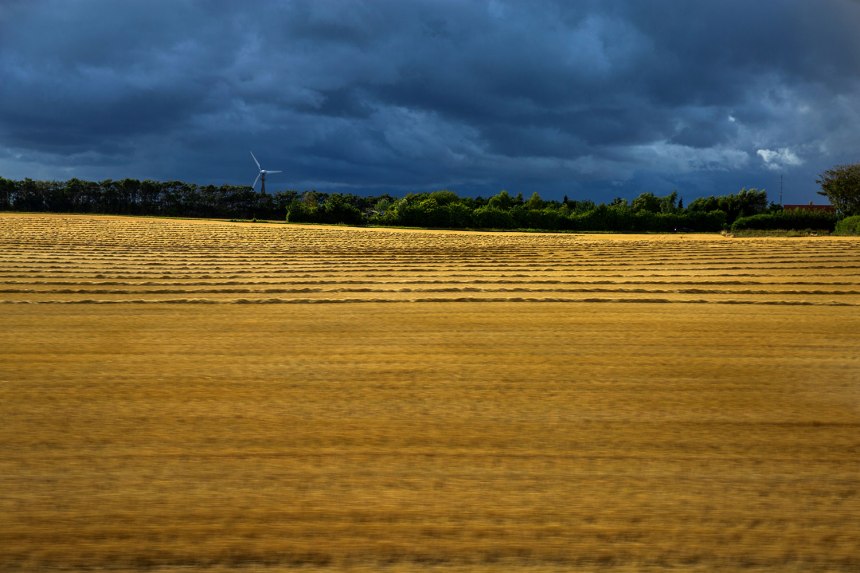 Copenhagen / for the love of nike