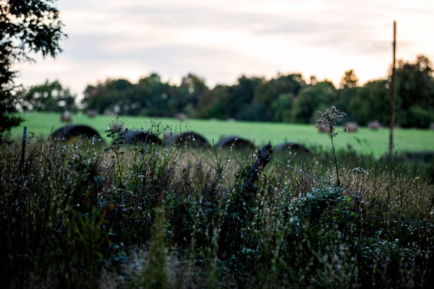 Fall Adventures / Whitaker Point / for the love of nike