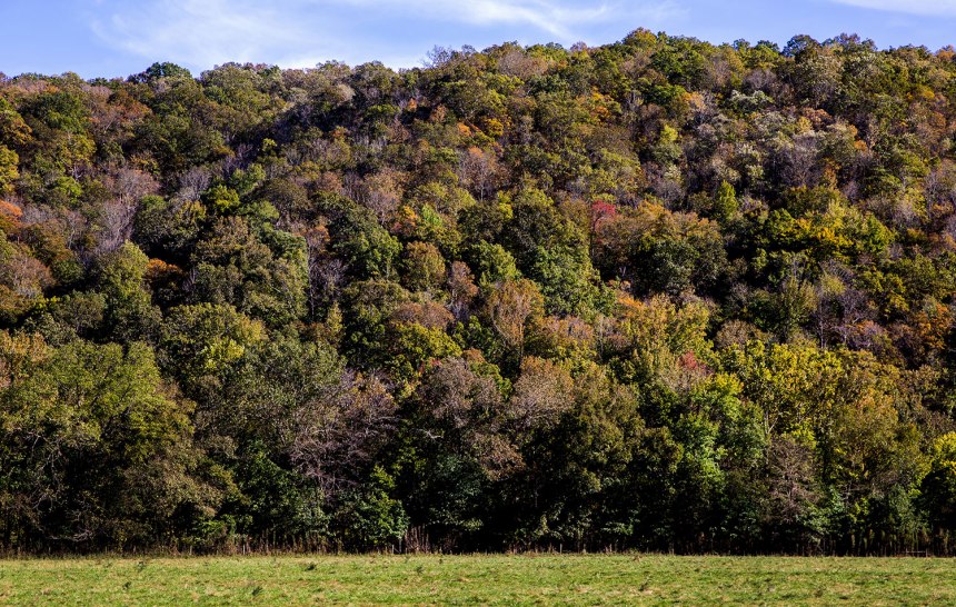 Fall Adventures / Whitaker Point / for the love of nike
