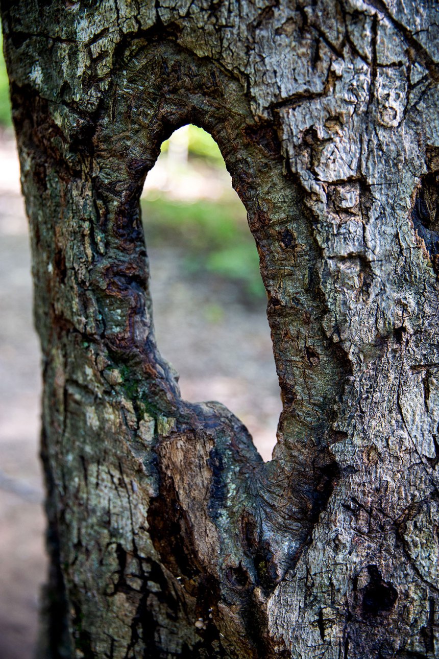 Fall Adventures / Whitaker Point / for the love of nike