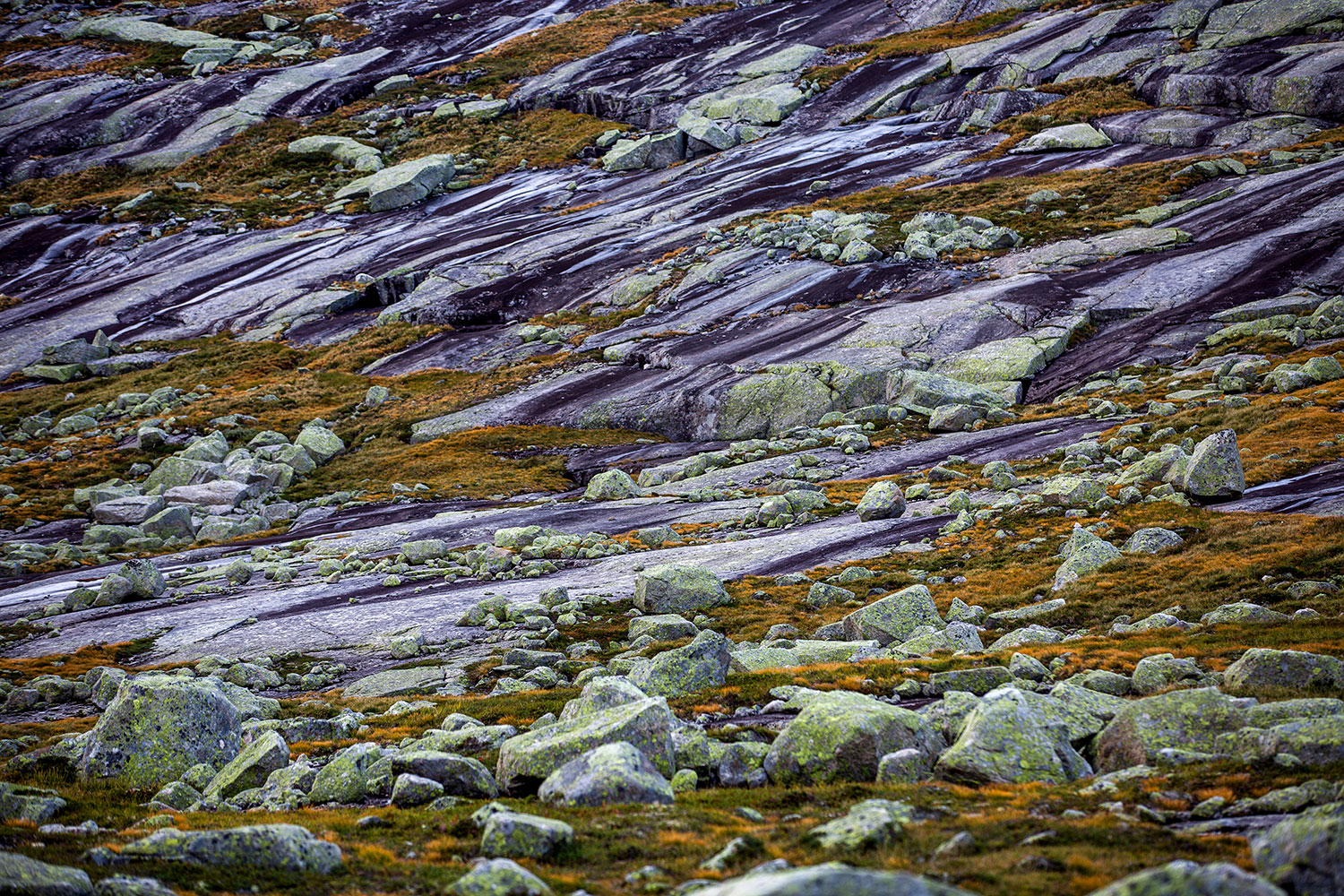 Hiking Trolltunga / for the love of nike