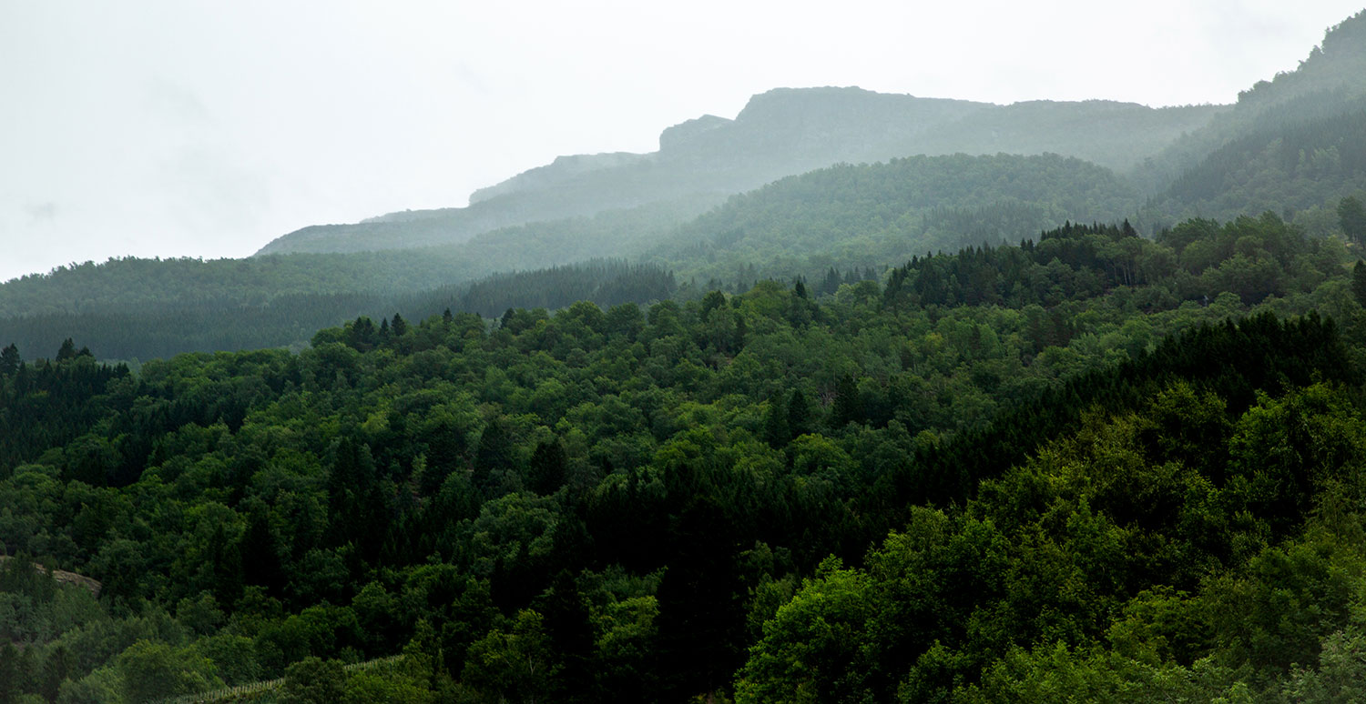 Hiking Trolltunga / for the love of nike