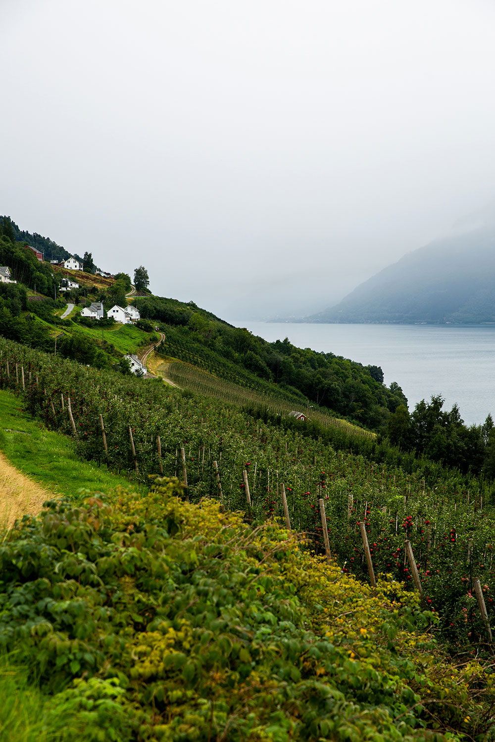 Hiking Trolltunga / for the love of nike